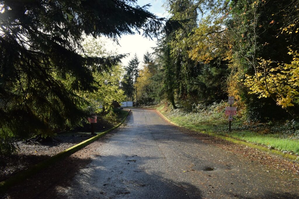 Selling Your House in Graham: A Complete Guide - Focus Estate Management
