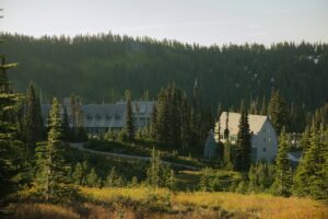 Why We Love Buying Houses in Yelm - Focus Estate Management